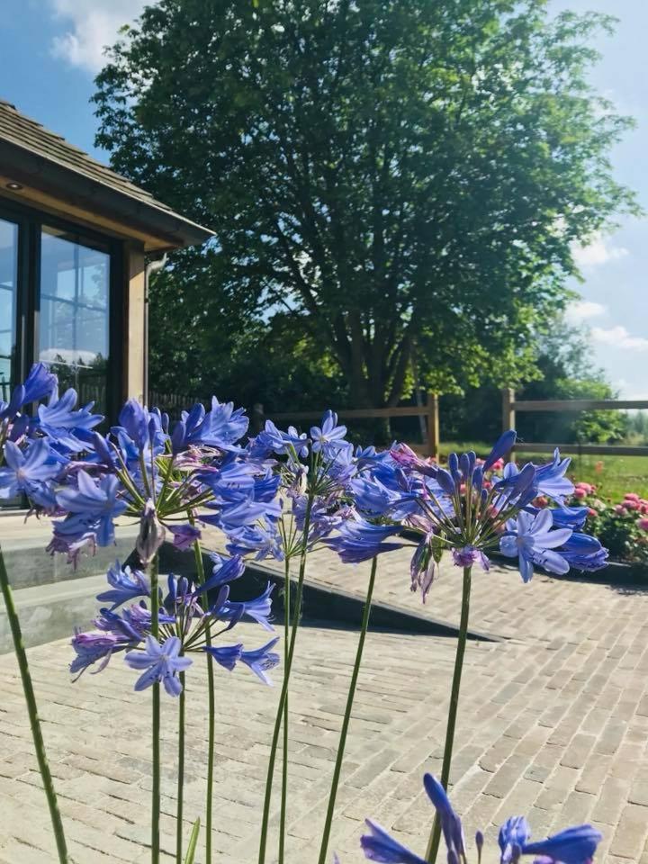 B&B De Windheer Sint-Martens-Lennik Exteriér fotografie